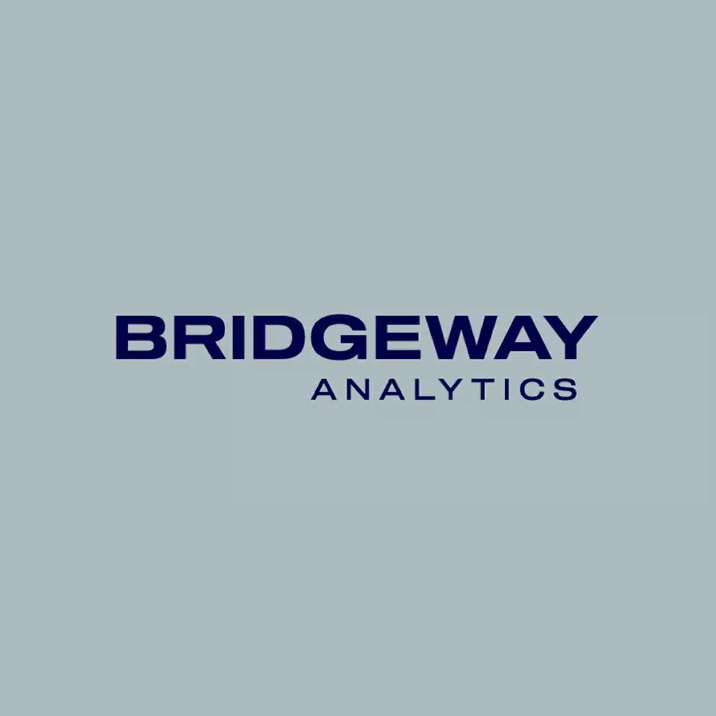 fi_BridgewayAnalytics2
