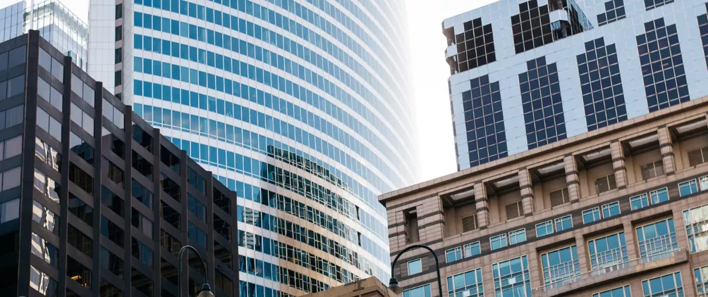 Invesco-stocksy-tx