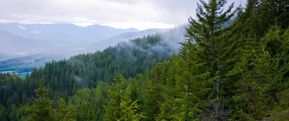ManuLife Investing in Nature